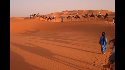 Morocco sahara