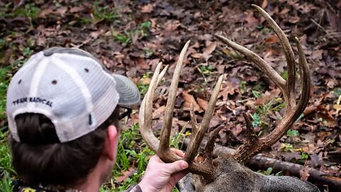 2 Bucks Down - Rifle Deer Hunting in Tennessee