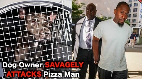 Pit Bull Owner SAVAGELY Attacks Pizza Man