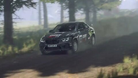 DiRT Rally 2 - RallyHOLiC 10 - Finland Event - Stage 3 Replay