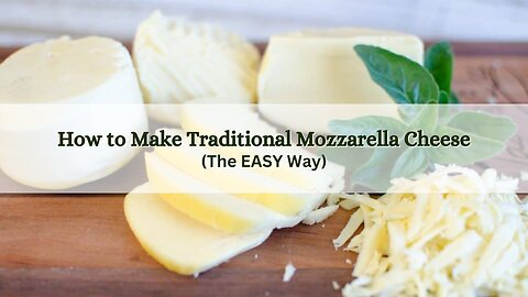 How to Make Mozzarella Cheese The Easy Way