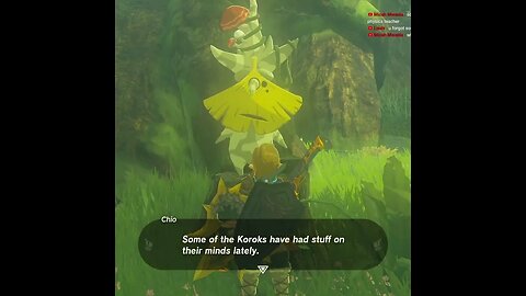 The Korok Elder