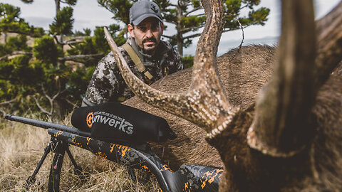 Marble Island Sambar Stag | Mark V. Peterson Hunting