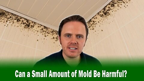 Can a Small Amount of Mold Be Harmful?