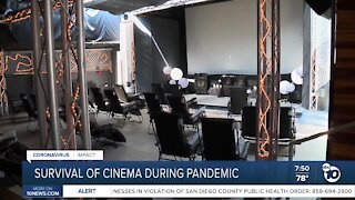 Survival of San Diego cinema during pandemic