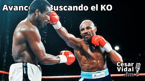 Avance de Buscando el KO - 21/06/24