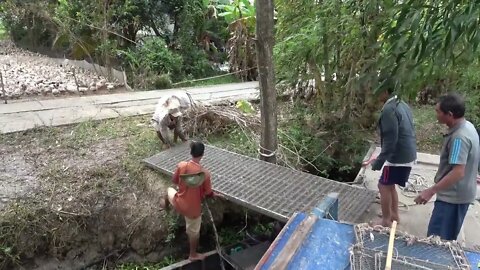 Duck song Một con Vịt Cận cảnh Vịt Đẻ chạy đồng xuống tàu Duck Put eggs on board Thanh Hoai KG 7