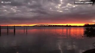 Pássaros preencher o cenário de um pôr do sol impressionante