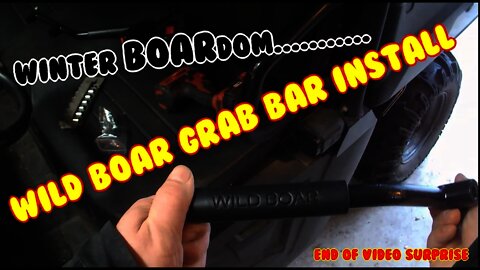 Jeep Wrangler Wild Boar Grab Handles, New lights for XMas