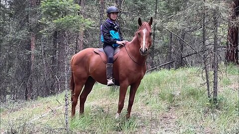 Riding Up A Mountain Bridleless & Teaching A Clinic: Trip Vlog Part 3