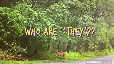 WHO ARE "THEY"?? (my thoughts on this as I watch some deer in the morning mist)