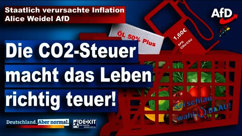 Rekord-Inflation: Preissteigerungen staatlich verursacht! Alice Weidel AfD