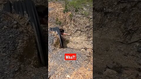 culvert inspection prank! #construction #roadside #funny