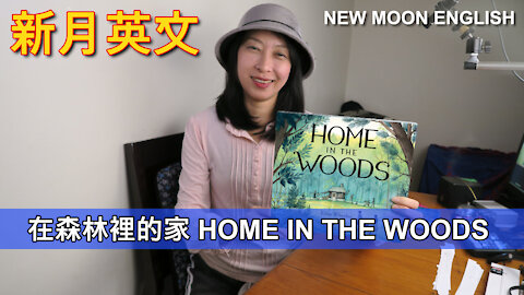 在森林裡的家 HOME IN THE WOODS