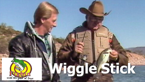 Introduction of the Wiggle Stick