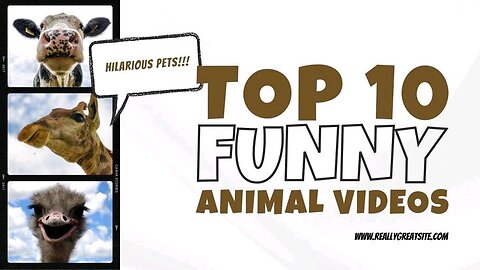 Funny animal videos viral...😁