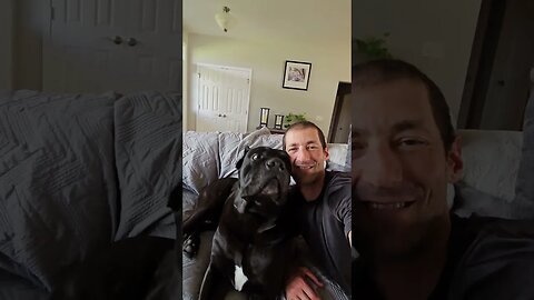 NO MATTER how much I say to my Cane Corso....