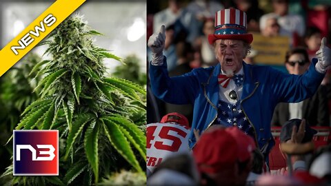 Marijuana On The Ballot - Here’s How It Did