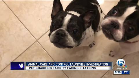 Animal Care and Control launches investigation on pet boarding facility