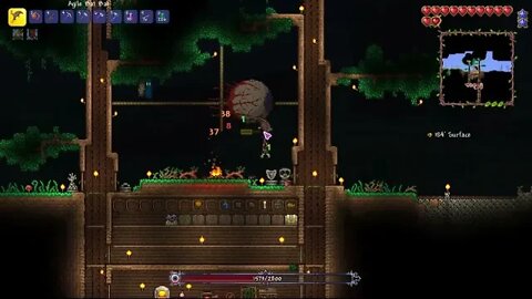 Double Boss Kill! ~ Terraria