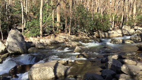 Great Smokey Mountains