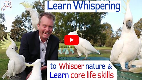 How do you whisper animals? Birds, big lizards, stingray, snakes, koala and be safe?