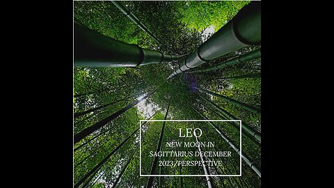 LEO- "ALREADY A STICKY SITUATION, NOW MORE SURPRISES" NEW MOON, DECEMBER 2023.