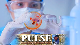 Anthony Patch - "Pulse" - "WHO Monkeypox Declaration" (Ep16) 081524