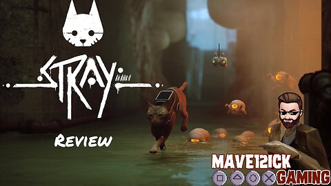 Stray Review!