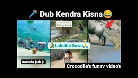 lolodile 🐊 funny dub video 😂 | lolodile sewa | crocodile funny video |