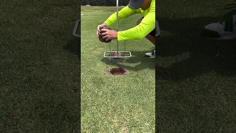 Oddly Satisfying Playlist: Grass