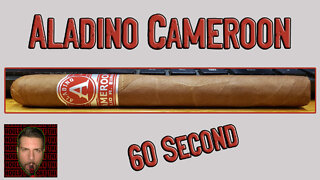 60 SECOND CIGAR REVIEW - Aladino Cameroon