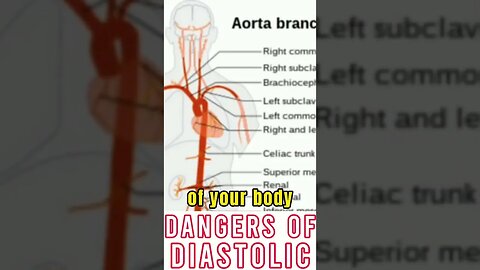 WHICH IS MORE DANGEROUS? SYSTOLIC OR DIASTOLIC BLOOD PRESSURE? #shorts