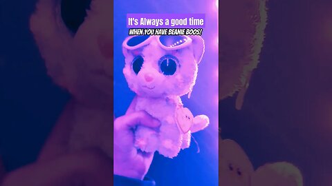 Good times with Beanie Boos 🎶💜