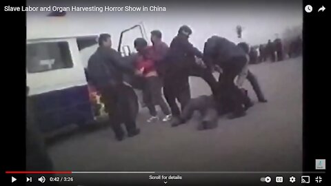 Slave Labor and Organ Harvesting Horror Show in China