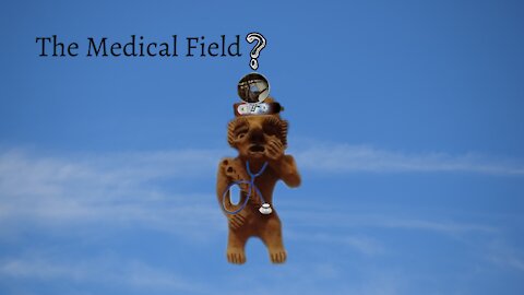 The Medical Field