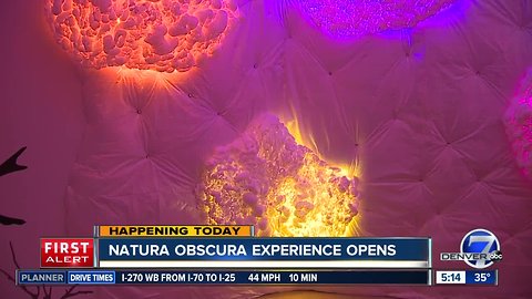 Natura Obscura experience opens