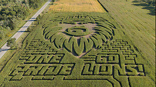 Detroit Lions / Dan Campbell-Themed Corn Maze in Michigan