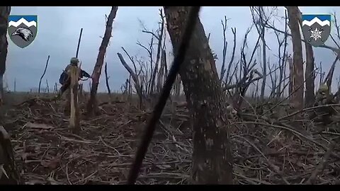 Bắt một tù binh Nga | Capturing a Russian POw