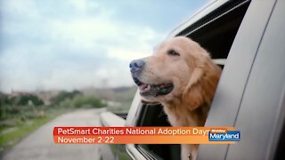 PetSmart Charities - National Adoption Days