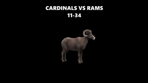 CARDINALS VS RAMS 2021 WILDCARD GAME