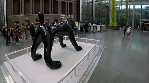 Wow - There's A Huge Puppy Dog In Atrium MFA Museum of Fine Arts Boston 4K Walking Tour 🖼️👨🏾‍🎨🎨