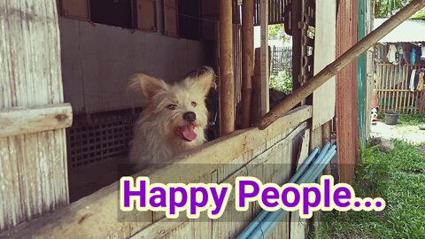 Happy People Quote(The Fluffy and Furry Pack)