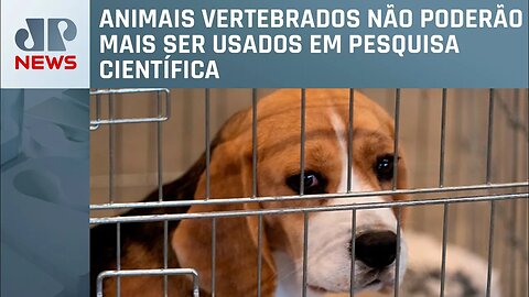 Governo proíbe uso de animais em testes para cosméticos e perfumes