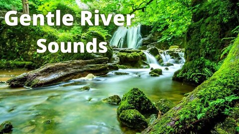 Gentle River Sounds - Peaceful Forest Stream.