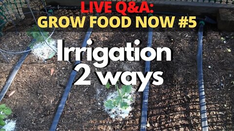 🔴LIVE Q&A Grow Food NOW #5