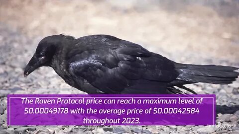 Raven Protocol Price Prediction 2022, 2025, 2030 RAVEN Price Forecast Cryptocurrency Price Predict