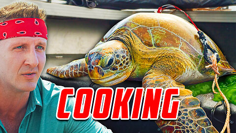 Cooking Sea Turtle!! Why The Australian Tradition Continues!!