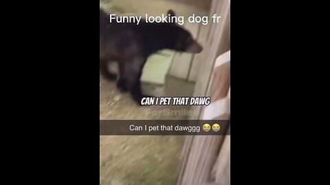 lmaoo #repost #funnyvideos #dankmemes #funny