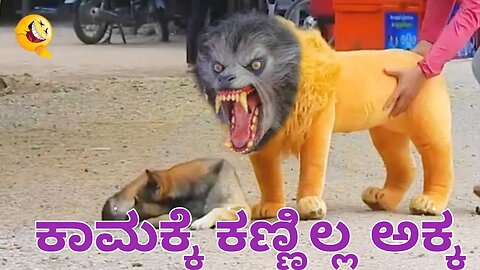 Best Prank Collection Top 15 - Fake Lion Prank Real Dog Super Funny - Try Not To Laugh Challenge